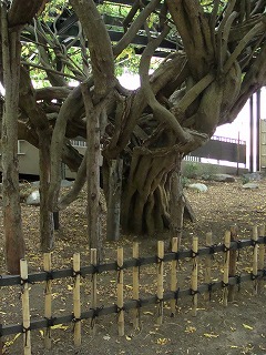 f0170524_1244446.jpg