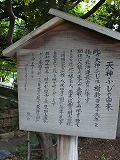 f0170524_125380.jpg