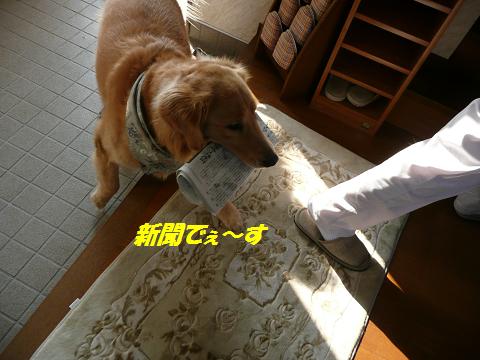 f0114128_1045819.jpg