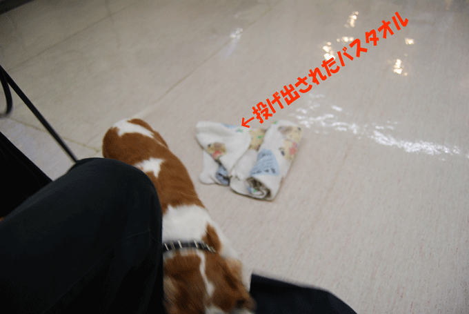 c0136838_22525679.gif