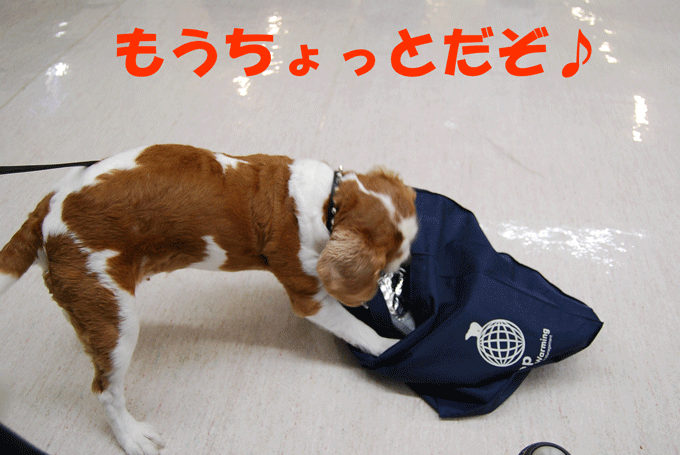 c0136838_2253595.gif