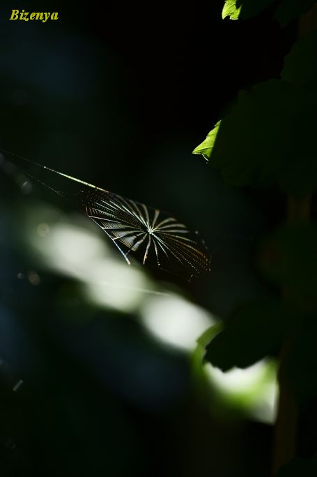 d0086248_714534.jpg
