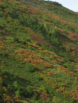 f0009457_1635389.jpg