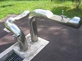 c0148270_21532989.jpg