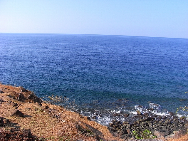 b0101284_20532929.jpg