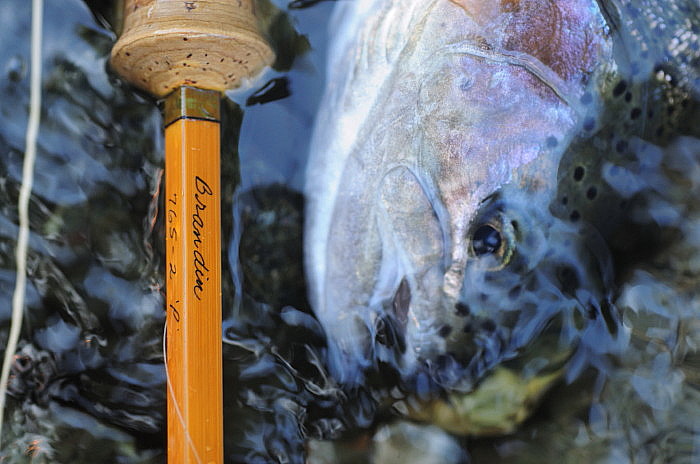 The Bamboo Rod / Per Brandin 765-2'P' HB : Spey Bum The Bamboo Rod / Per Brandin 765-2'P' HB : Spey Bum