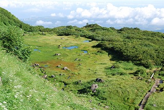 c0124100_18435730.jpg