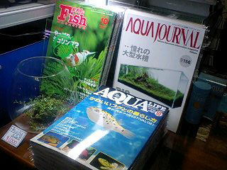 AL & FM & AJ 各最新号入荷!_b0141806_2241036.jpg