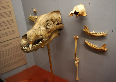 f0159313_0291431.jpg