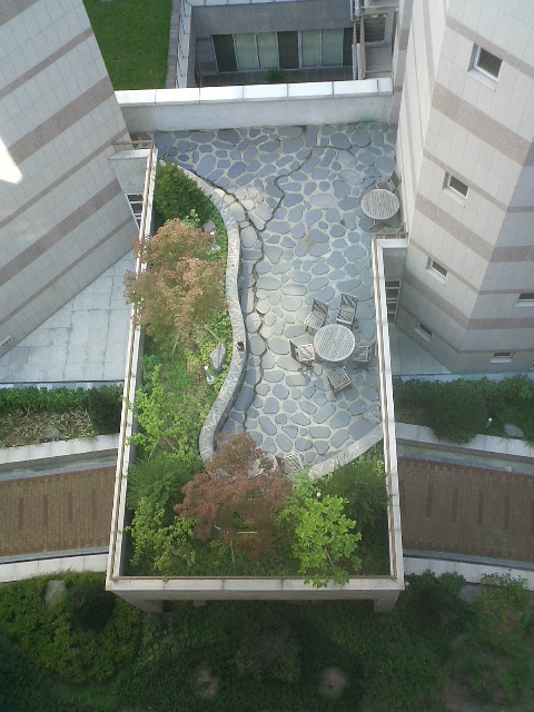 e0037019_0222722.jpg