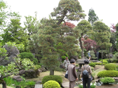 b0147224_21503585.jpg