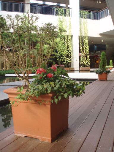 e0097536_033986.jpg