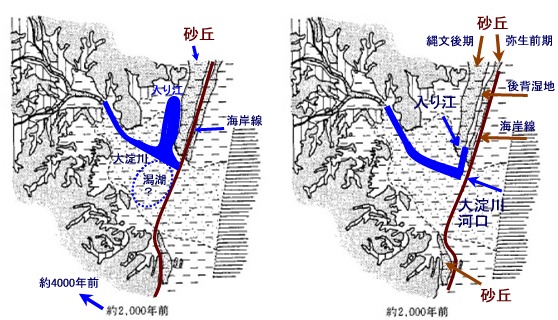 宮崎平野の古海岸線の 大胆な 復元 Beachmollusc ひむかのハマグリ