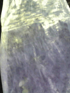 a0044453_13463568.gif