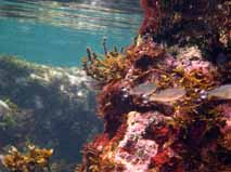 １泊２日の海行き② ふたたび大池_f0087656_12362034.jpg