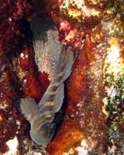 １泊２日の海行き② ふたたび大池_f0087656_12381935.jpg