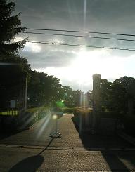 f0139963_62036.jpg