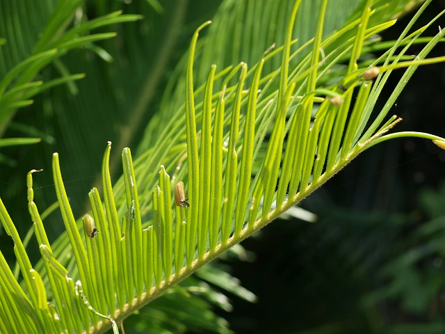 b0135573_1619471.jpg