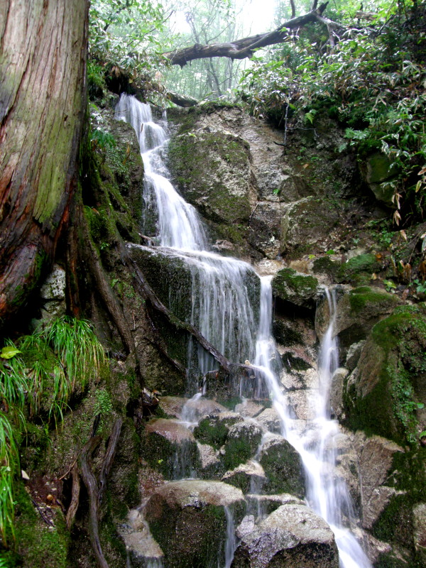 f0075075_15574875.jpg