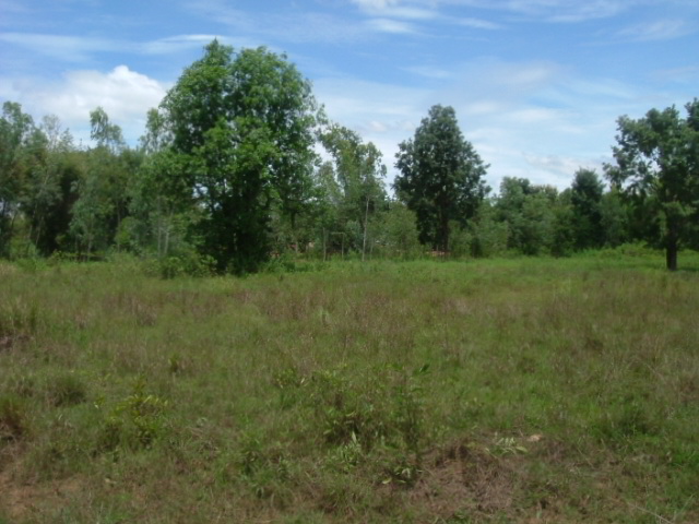 a0067578_15447.jpg