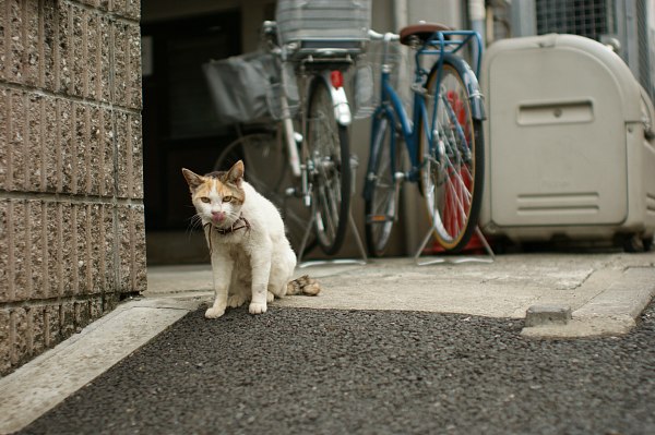 イケメン過ぎて、ごめんなさい_c0109780_954314.jpg