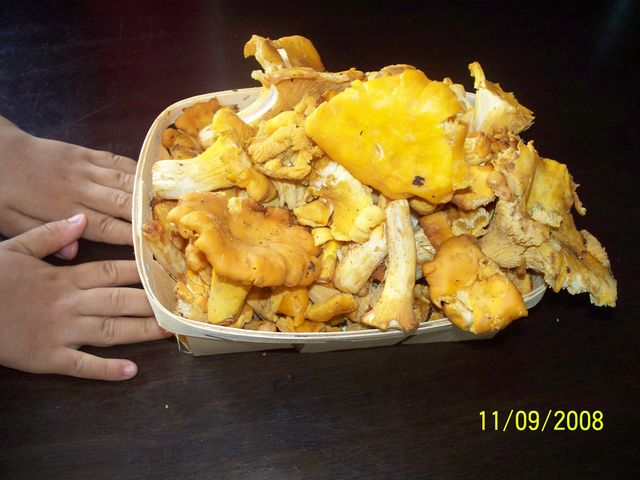 e0132190_44172.jpg