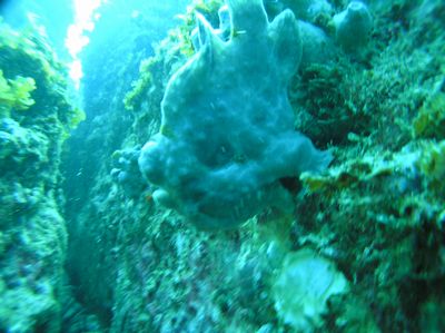 e0115199_1173389.jpg