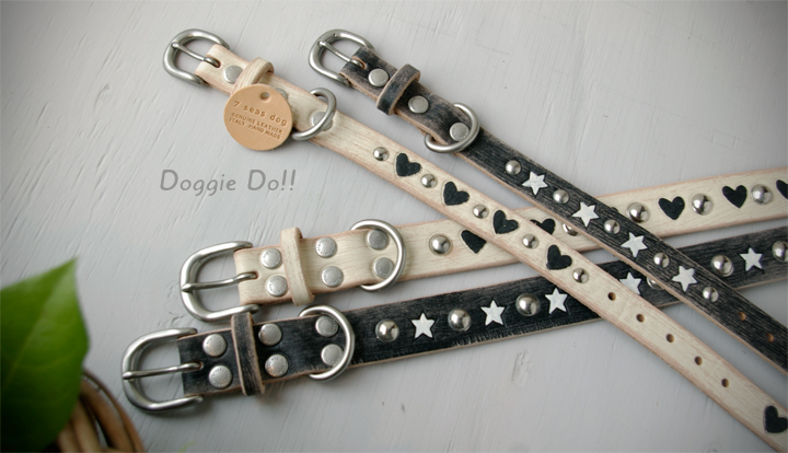 seven seas dog / \"SCRATCH\" Collar & Leash_a0072609_2013095.jpg