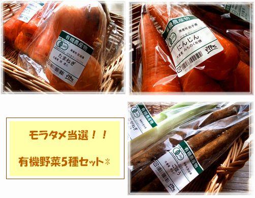 有機野菜５種セットに当選☆_c0131432_13591117.jpg