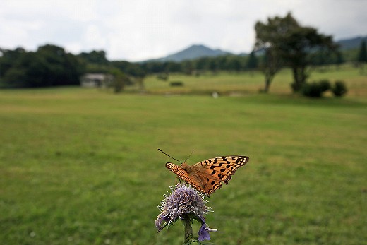 初秋の蒜山高原_d0029333_20323673.jpg