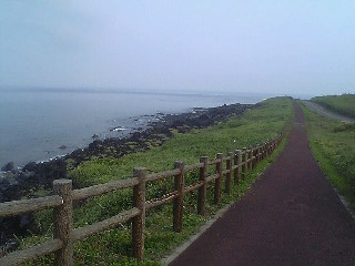 f0076345_101193.jpg