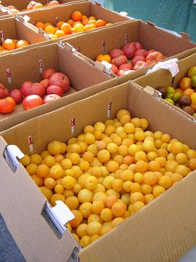 f0041447_4375416.jpg