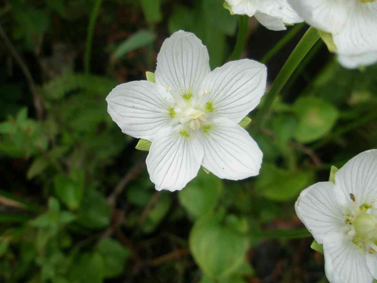 d0008157_02199.jpg