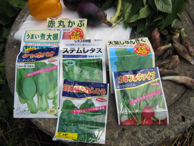 秋野菜の種蒔き_e0121558_20421592.jpg