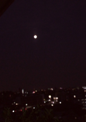 d0083265_21413134.jpg