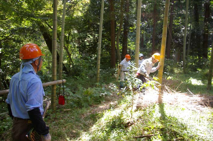 山に経済を戻す！「緑のダム北鎌倉」の取り組みをリポート_c0014967_163693.jpg