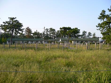 第二緑ヶ丘団地（福岡県遠賀郡芦屋町）_c0099967_23345647.jpg