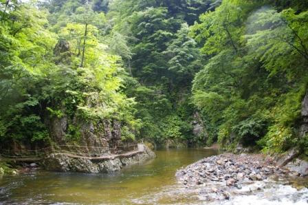 西目屋村　世界遺産白神山地へ！_d0131668_14323477.jpg