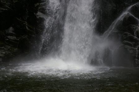 西目屋村　世界遺産白神山地へ！_d0131668_14581897.jpg