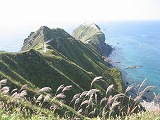 c0148270_2240762.jpg