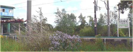 f0083977_1321650.jpg