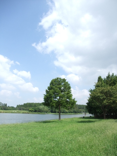d0153294_1153796.jpg