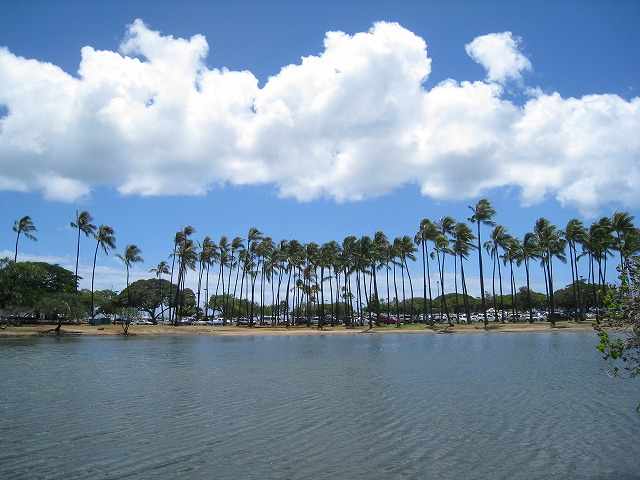 f0174198_2259699.jpg