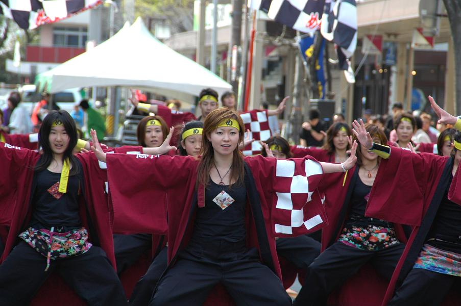 四日市よさこい_f0184198_1543035.jpg