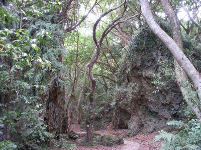沖縄アルバム(4)世界遺産 斎場御嶽_d0116009_033174.jpg