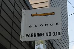 George ジョージ チョビりくに癒される毎日