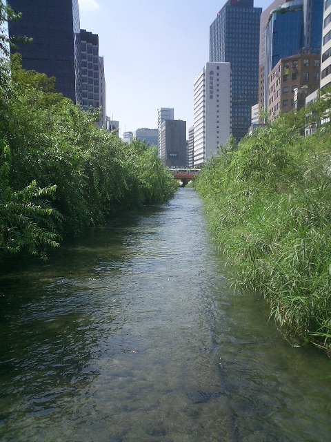 e0037019_235846.jpg
