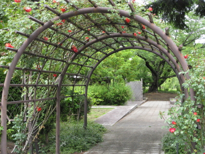 b0147224_1283067.jpg