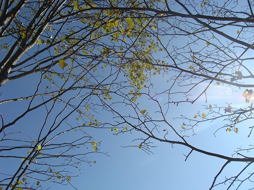 f0170524_17125765.jpg
