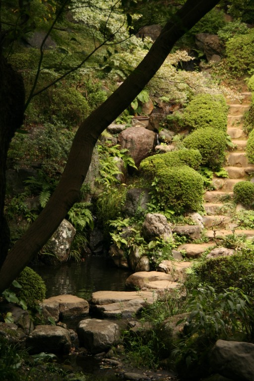 国分寺崖線　殿ヶ谷戸公園　その弐_b0129829_0432540.jpg